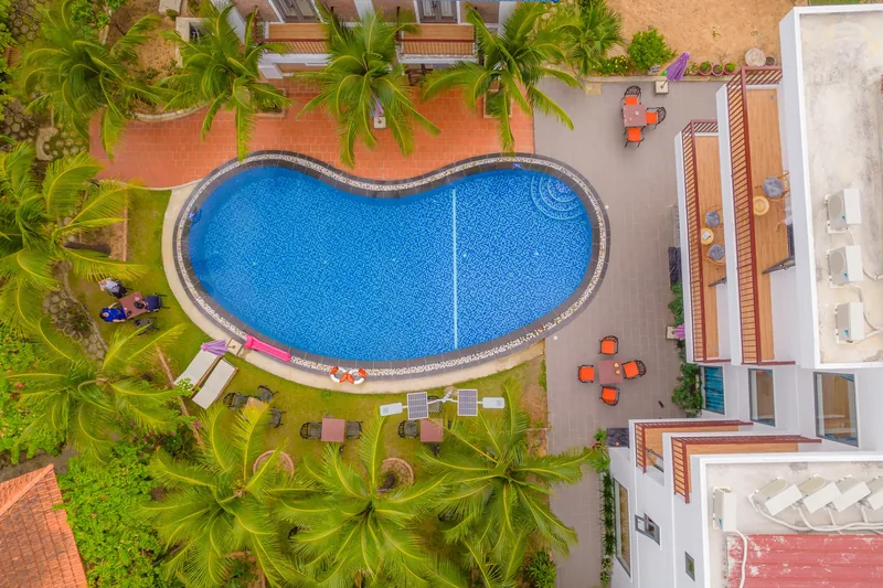 The pool and palms seen from above